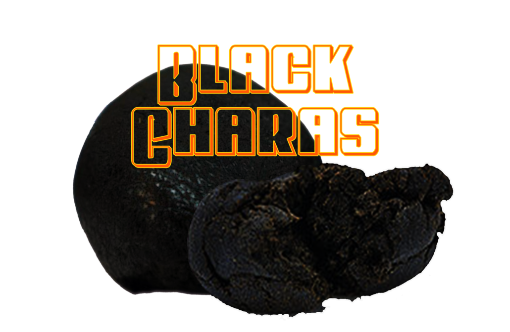 Le misteriose leggende sull'Hashish - Black Charas