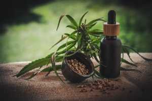 Scopri di più sull'articolo Cannabis terapeutica: benefici e proprietà
